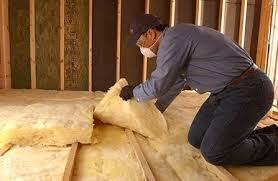 Best Wall Insulation Installation in Doctor Phillips, FL