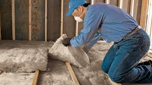 Best Reflective Insulation in Doctor Phillips, FL