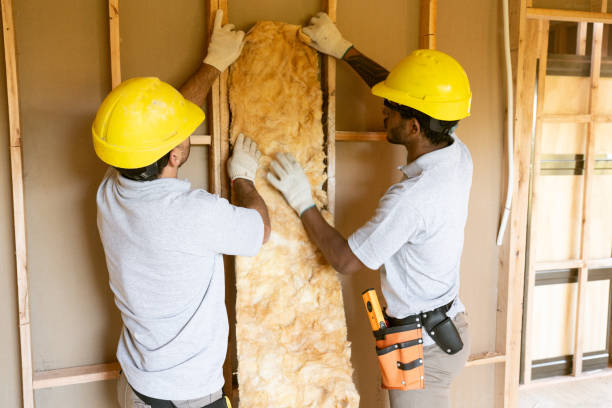 Best Spray Foam Insulation in Doctor Phillips, FL